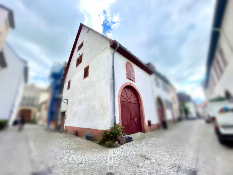 Außenansicht - Haus kaufen in Landau in der Pfalz - Historisches Haus im Herzen von Landau