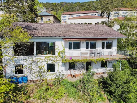 Außenansicht - Haus kaufen in Bad Dürkheim - Exklusives Wohnerlebnis mit Blick über die Rheinebene: Hanggrundstück zur flexiblen Nutzung!