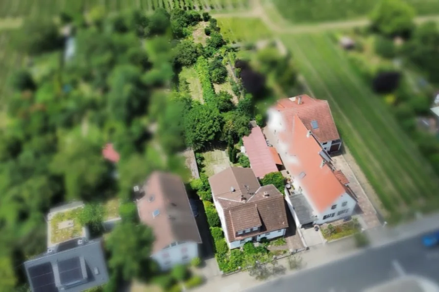 Vogelperspektive - Haus kaufen in Neustadt an der Weinstraße - Charmantes Einfamilienhaus mit tollem Grundstück und Bebauungsmöglichkeit in 2.ter Reihe in Neustadt