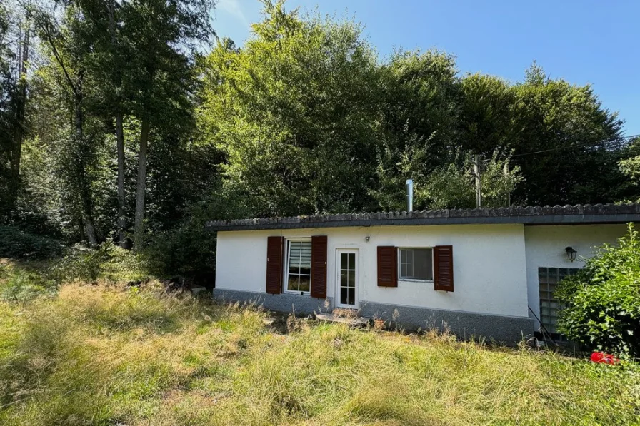 Hausansicht - Haus kaufen in Carlsberg / Hertlingshausen - Wochenendhaus! Ruhe und Idylle in Carlsberg