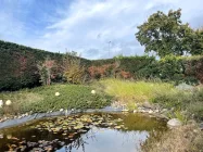 Gartenteich