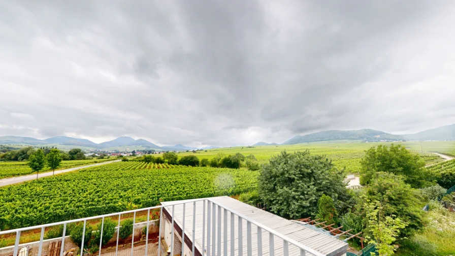 Aussicht Balkon - Wohnung kaufen in Landau in der Pfalz / Godramstein - Exklusives Penthouse in Godramstein – Hochwertiges Wohnen mit Blick auf die Weinberge