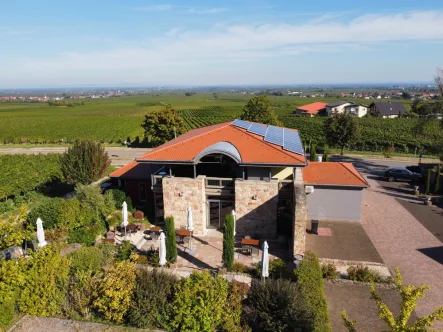 Drohne - Gastgewerbe/Hotel kaufen in Burrweiler - Traumhafte Weinlounge mit Fernblick in Toplage an der südlichen Weinstraße