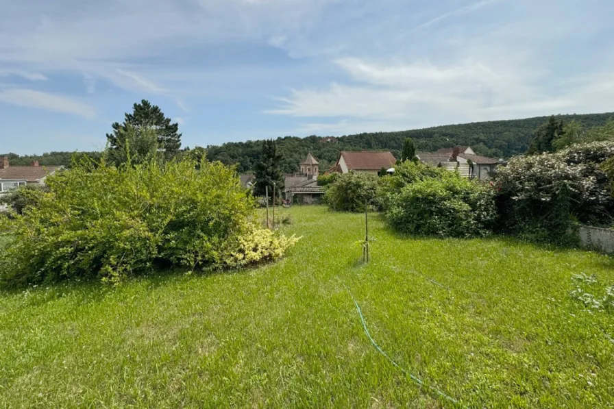 Gartenfläche - Haus kaufen in Bad Dürkheim - Viel Grün in Bad Dürkheim-Seebach - Einfamilienhaus mit Einliegerwohnung und tollem Grundstück