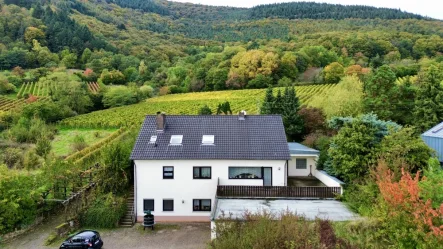 Frontansicht - Haus kaufen in Weyher in der Pfalz - Charmantes und großzügiges Einfamilienhaus mit wunderschönem Blick über die Weinberge in Weyher