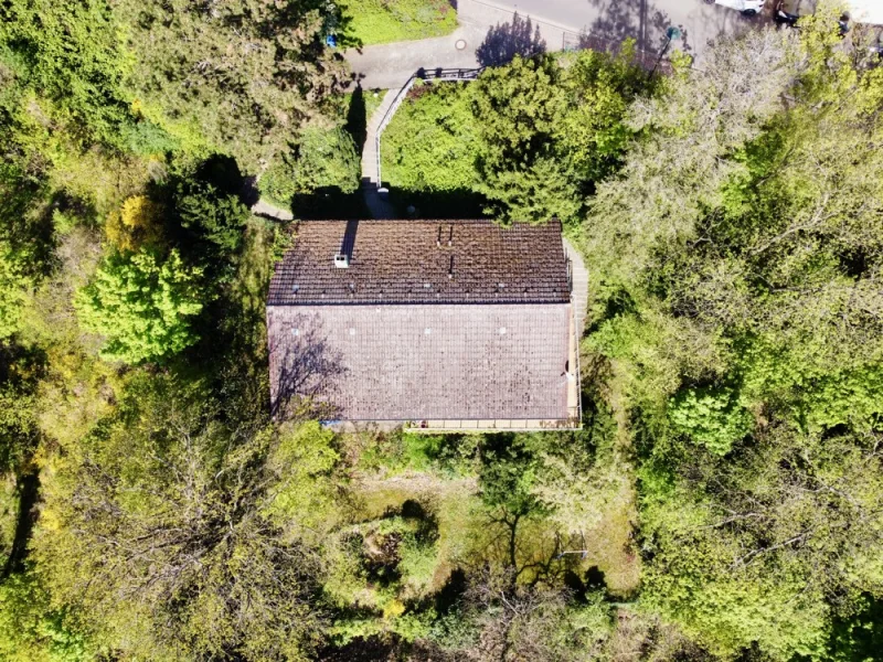 Grundstück - Grundstück kaufen in Bad Dürkheim - Baugrundstück in Hanglage mit bezauberndem Blick über die Rheinebene und gültigem Bebauungsplan