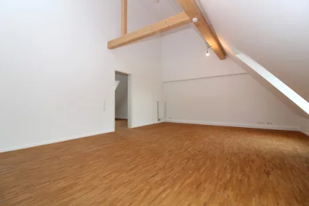 Wohnzimmer - Wohnung mieten in Ludwigshafen am Rhein / Friesenheim - Moderne 2-Zimmer-Dachgeschosswohnung in den Hohenzöllernhöfen mit herrlichem Blick ins Grüne