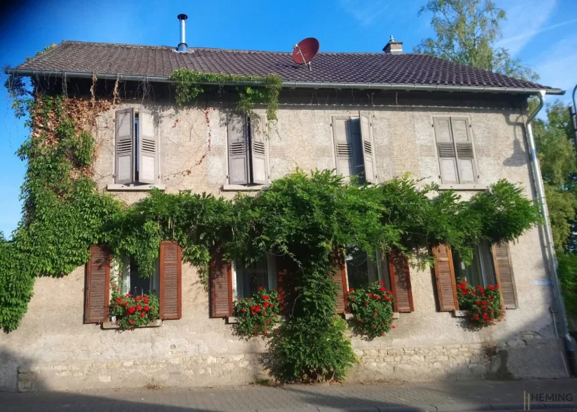 Straßenansicht - Haus kaufen in Hahnheim - HEMING-IMMOBILIEN -  Charmantes ehemaliges Pfarrhaus mit großzügigem Garten