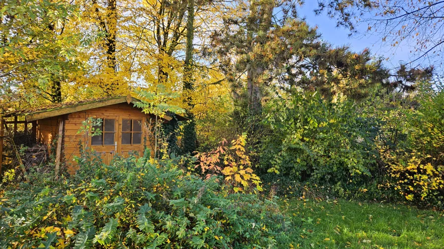 Blick in den Garten