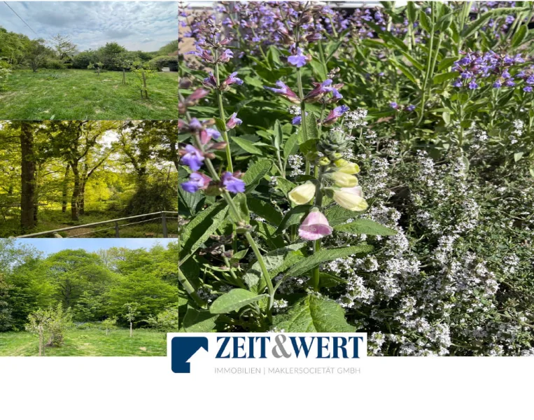 Bild1 - Grundstück kaufen in Kolverath - Raus ins Grüne! Freizeitgrundstück in Kolverath in der Vulkaneifel (Rheinland-Pfalz)! (MB 4195n)