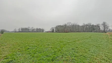 Wiesen- und Waldfläche  - Grundstück kaufen in Kamp-Lintfort - Wiesen- und Waldfläche im Kamp-Lintforter Stadtteil Hoerstgen!