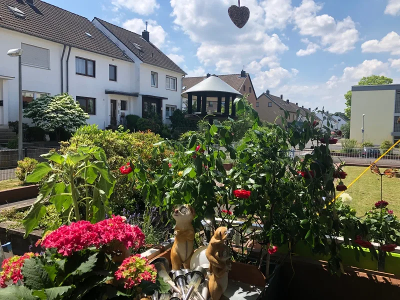 Blick vom Balkon