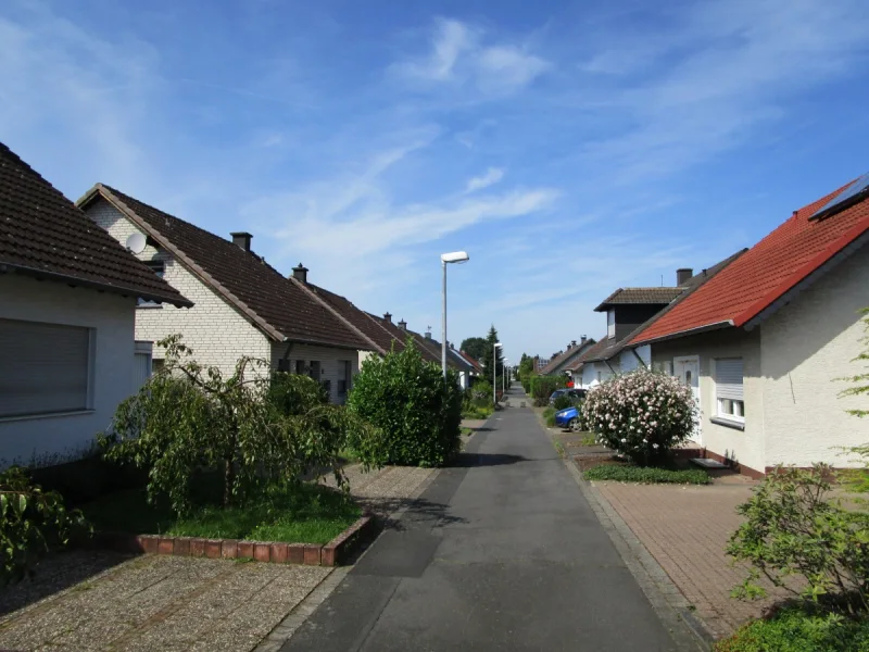 Blick zum Haus bzw. Wohnumgebung