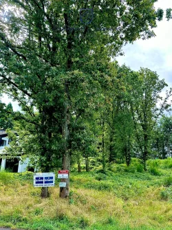 Grundstück Verkauf - Grundstück kaufen in Neunkirchen - Letztes Baugrundstück in bevorzugter Lage (Sackgasse)  in Ludwigsthal