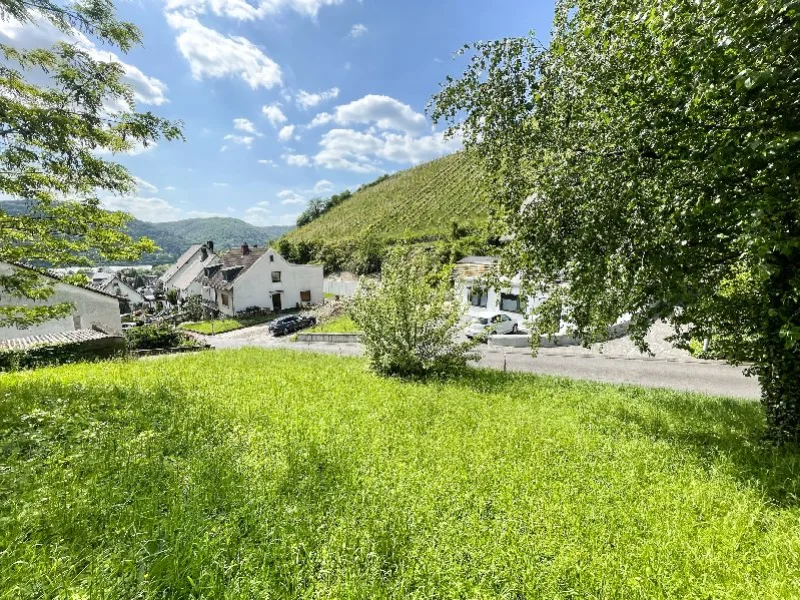  - Grundstück kaufen in Leutesdorf - Rheinblick   tolles Baugrundstück in exponierter Lage zwischen Rhein und Weinbergen!