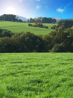 Hier könnte ihr Haus stehen! - Grundstück kaufen in Buchholz - Traumgrundstück mit Traumaussicht, zentrale und doch ruhige Lage 15 Min A3 Siebengebirge