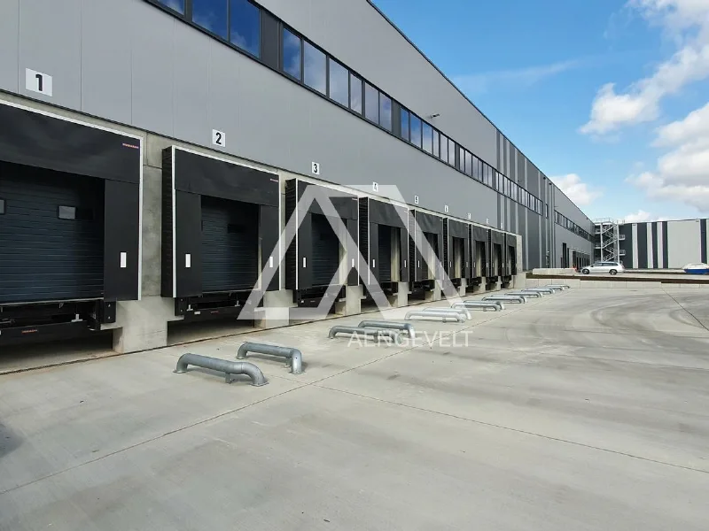 Deckblatt - Halle/Lager/Produktion mieten in Kabelsketal - Flexibel teilbarer Logistikneubau direkt an der BAB14