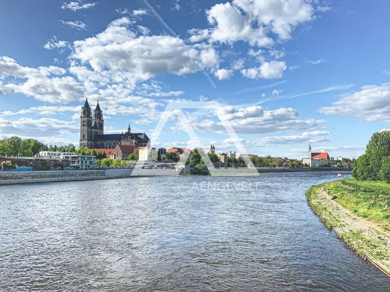 Elbe mit Dom_Web - Zinshaus/Renditeobjekt kaufen in Magdeburg - VOLLVERMIETETES WOHN- UND GESCHÄFTSHAUS IN TOP-ALTSTADTLAGE NAHE HASSELBACHPLATZ