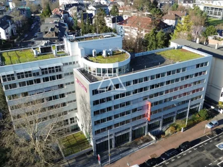 Außenansicht zugeschnitten - Büro/Praxis mieten in Frankfurt am Main - Absolute Rarität: Büro-Solitärgebäude im Frankfurter Nordend