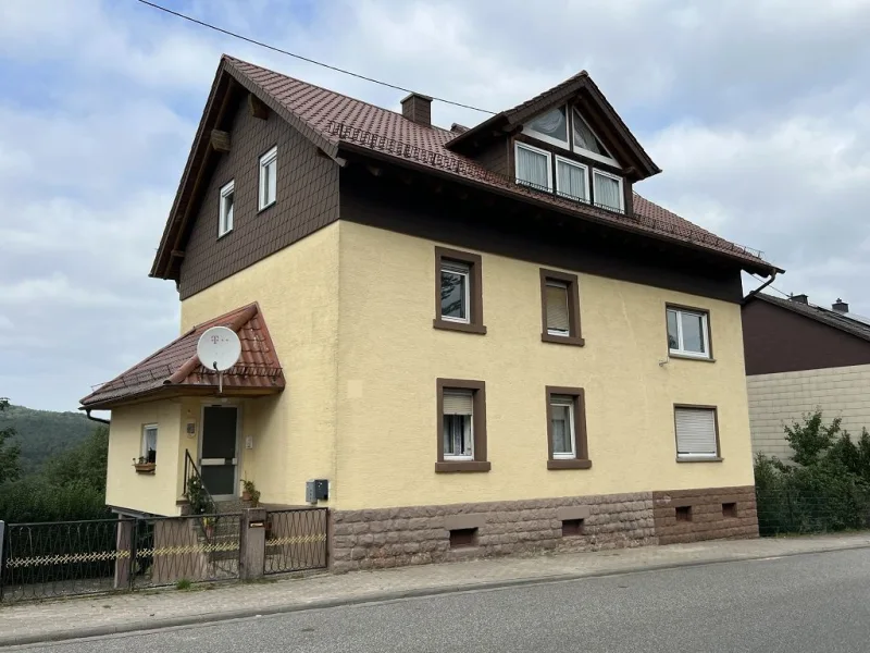 Strassenseite mit Eingang - Haus kaufen in Schopp - Großes Wohnhaus mit viel Potenzial in Schopp