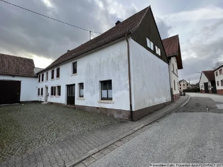 Strassenansicht - Haus kaufen in Hütschenhausen - Historisches Anwesen mit Nebengebäude auf großem Grundstück