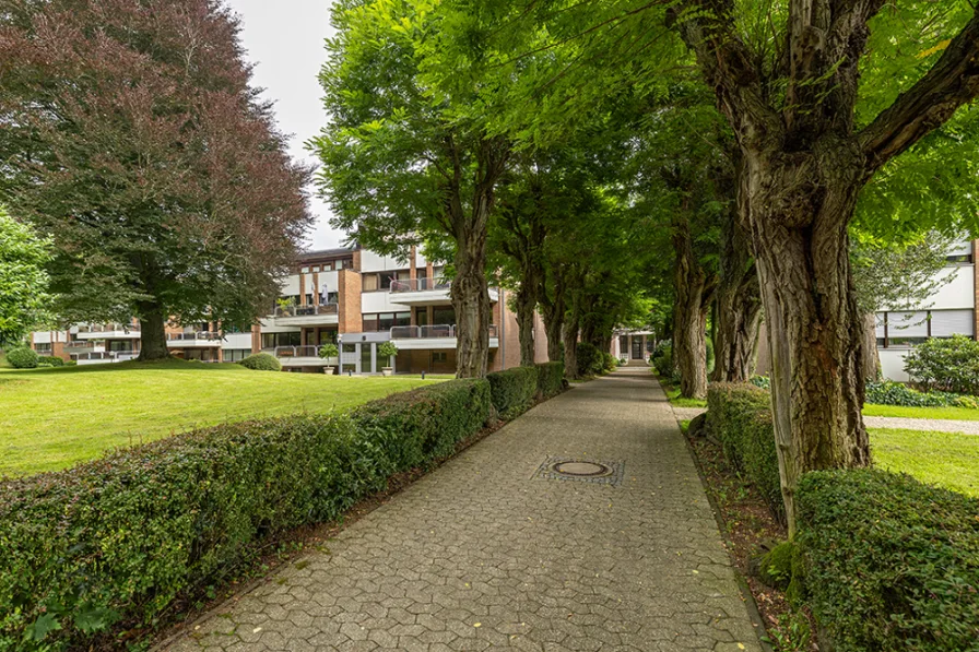 "Allee" zum Hauseingang