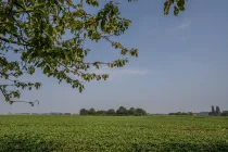 Blick über die Felder