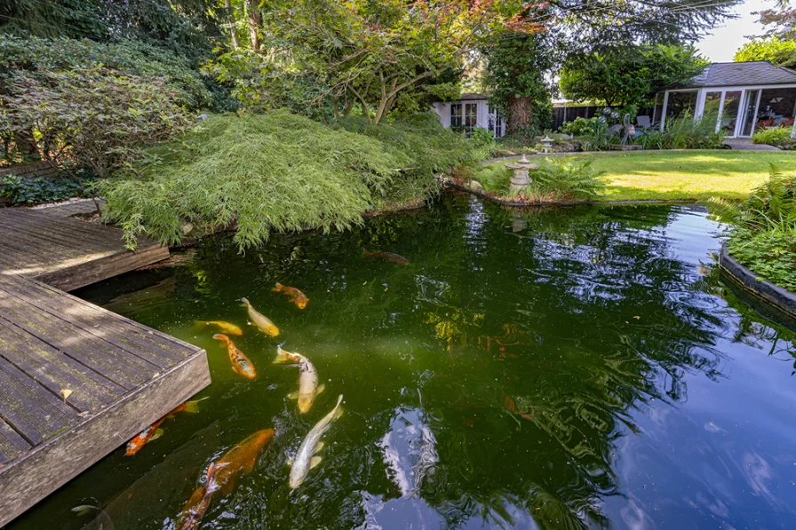 Teich mit Gartenansicht