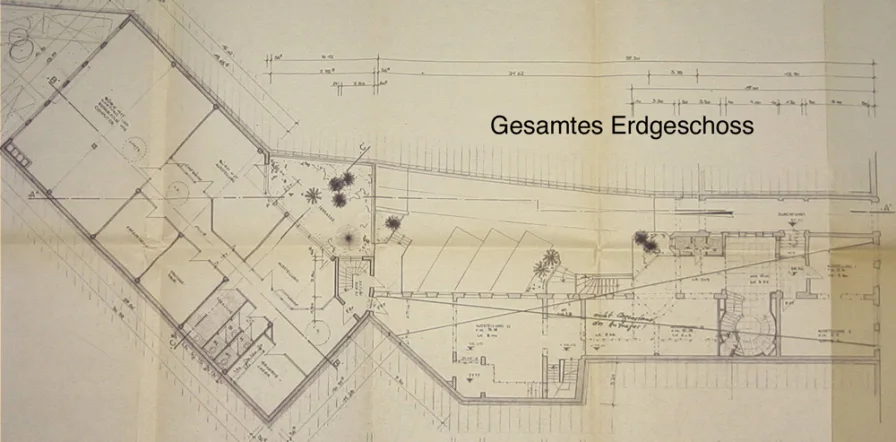 Gesamtes Erdgeschoss1