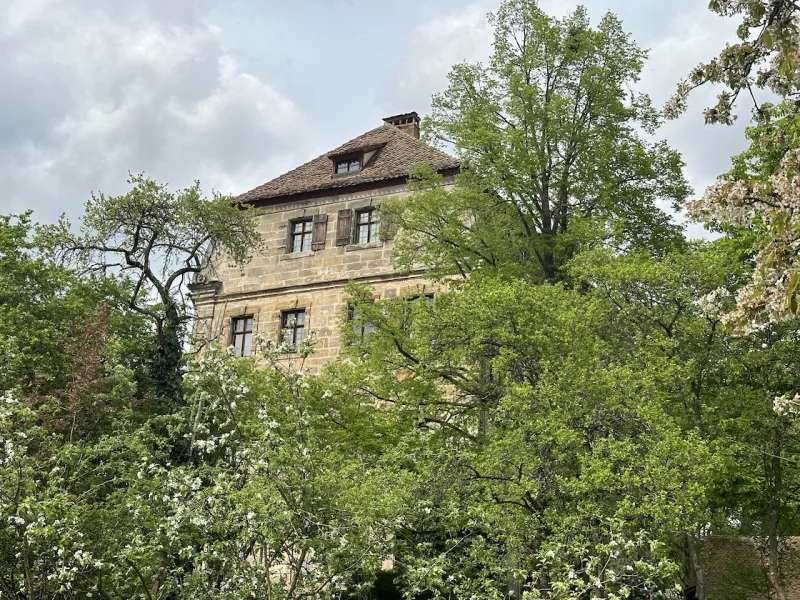 Ansicht seitlich - Haus kaufen in Lauf an der Pegnitz / Neunhof - Wohnen im Denkmal. Historisches Kolerschloß in Neunhof bei Nürnberg