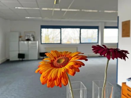 Großer Büroraum - Büro/Praxis mieten in Kroppach - 432 m² großer Bürokomplex im Gewerbegebiet, auch für Bürogemeinschaften- Ab sofort zur Miete!