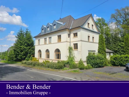 Straßenansicht - Haus kaufen in Steinebach/Sieg - Investoren aufgepasst! Modernisierte & ansprechende Wohnhäuser mit vielseitigen Nutzungsmöglichkeiten in ruhiger Lage!