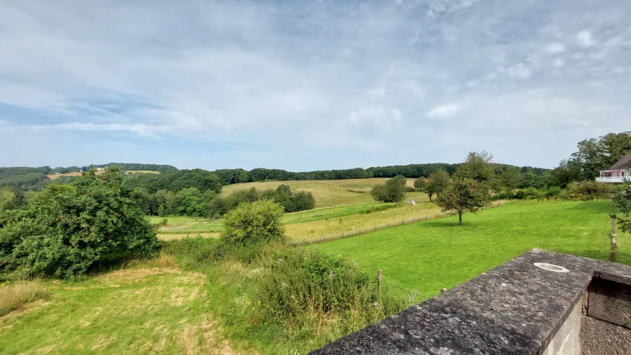 Aussicht von der Terrasse 