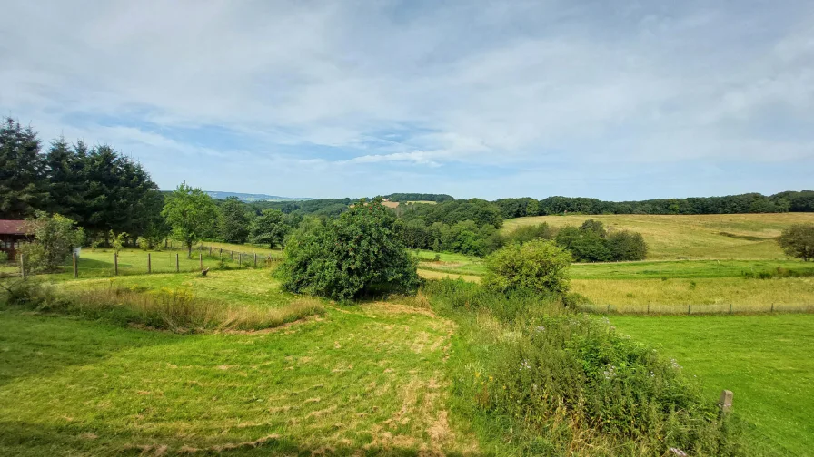 Aussicht von der Terrasse 