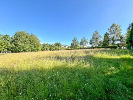 Grundstücksansicht - Grundstück kaufen in Wied - Bauplatz für ein Ein- oder Zweifamilienhaus! Nur 4 km von Hachenburg entfernt.