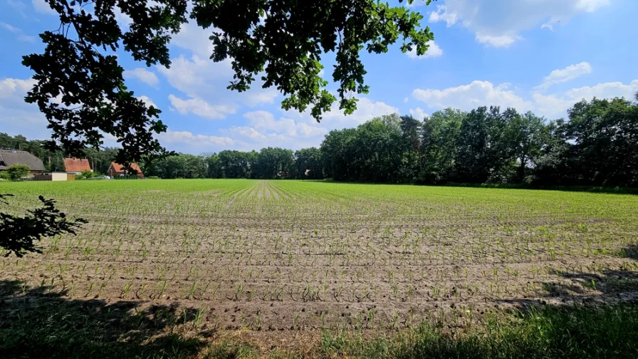 Das könnte Ihr Ausblick sein!