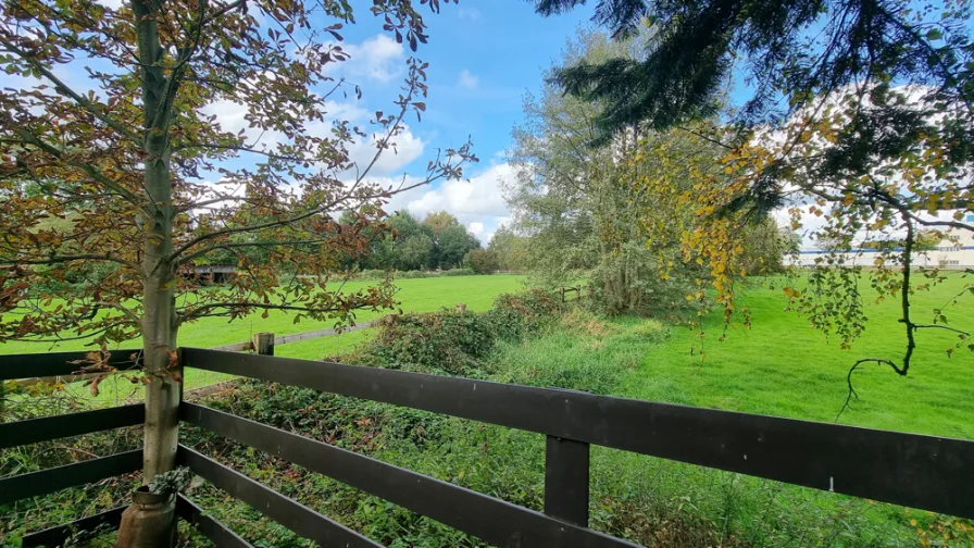 Aussicht Garten