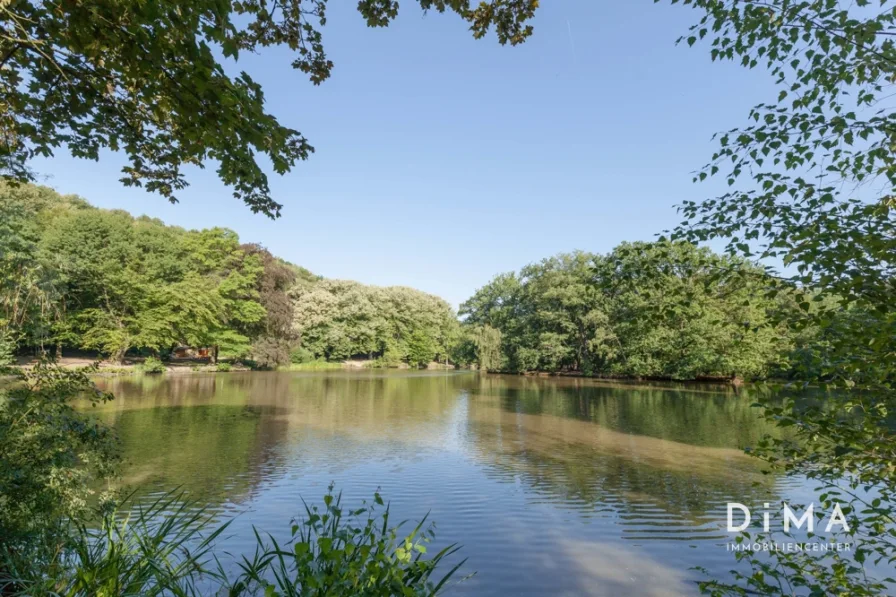 Schmölderpark-Sommer