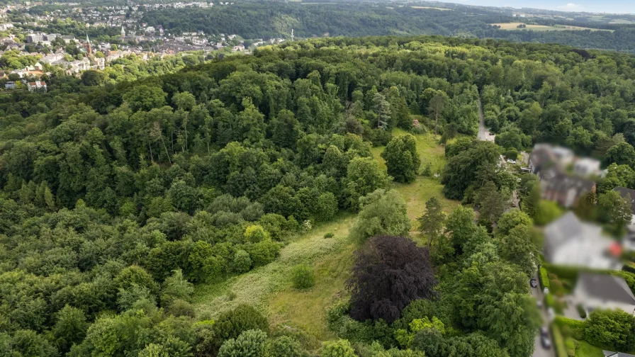 Grundstück_Dronenaufnahme_2