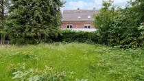 Garten mit Blick aufs Haus