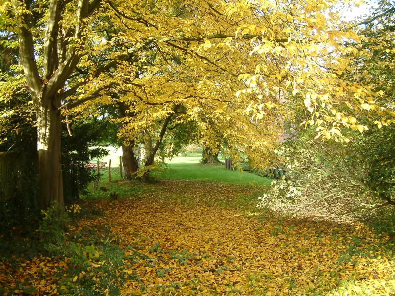 Herbstgarten