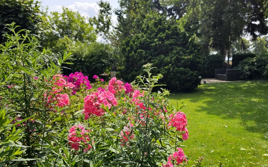 Garten - Haus kaufen in Korschenbroich - Große Doppelhaushälfte auf großem Grundstück in Feldrandlage