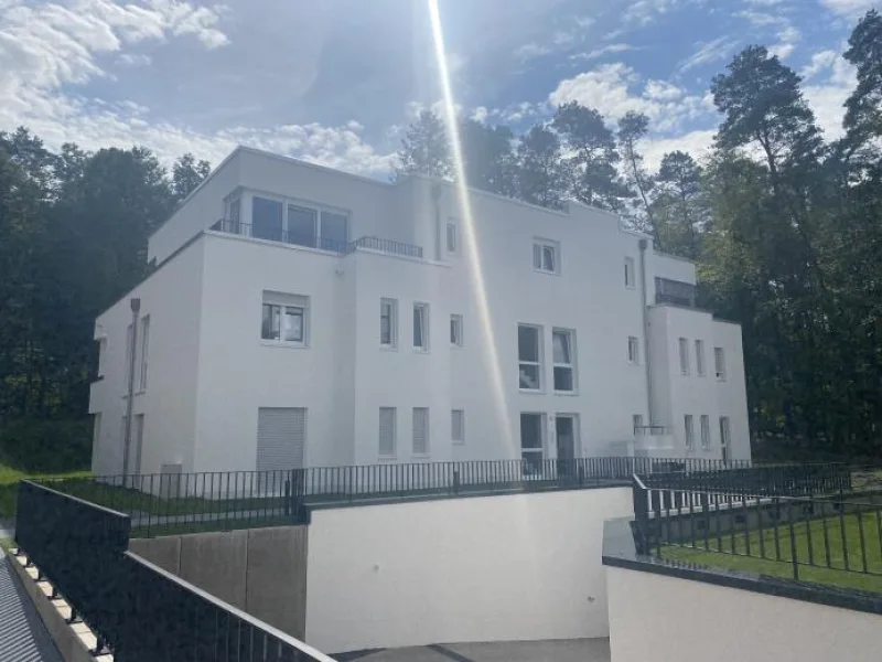 Außenansicht - Wohnung mieten in Homburg - KfW 40 - Neubau - offen-moderne Erdgeschosswohnung in ruhiger Lage mit Terrasse und Garten