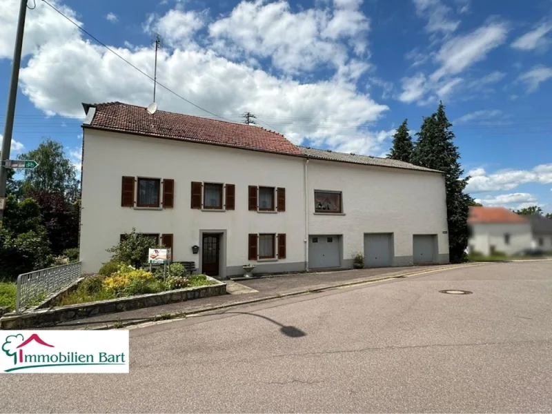 Straßenansicht - Haus kaufen in Perl / Oberleuken - GRENZNÄHE LUXEMBURG: BAUERNHAUS MIT NEBENGEBÄUDEN AUF 14 AR!