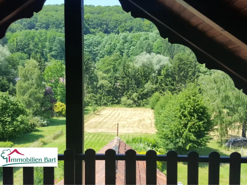 Ausblick auf das große Wiesengrundstück - Haus kaufen in Merzig / Weiler - TIERFREUNDE AUFGEPASST! WOHNHAUS AUF 40 AR!