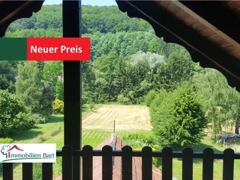 Ausblick auf das große Wiesengrundstück - Haus kaufen in Merzig / Weiler - MERZIG: ZWEIFAMILIENHAUS AUF 40 AR!