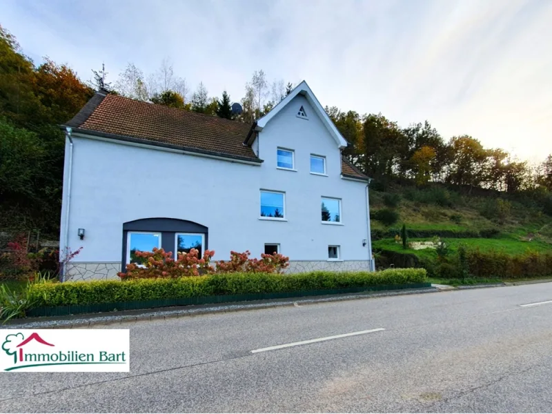 Frontansicht - Haus kaufen in Wadern / Krettnich - Familienidyll mit Charakter: Gepflegtes Einfamilienhaus und Scheune mit viel Liebe zum Detail