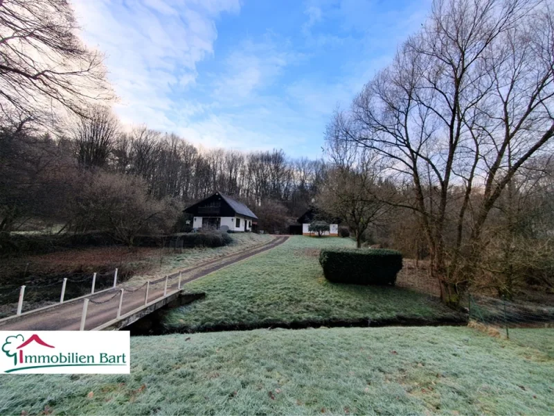 Zufahrt zum Wohn- /und Gartenhaus - Haus kaufen in Beckingen / Honzrath - NATUR PUR! IDYLLISCHE LAGE IN HONZRATH!