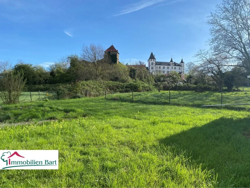 Garten - Haus kaufen in Perl - Nennig - DAS HAUS MIT WUNDERSCHÖNEM SCHLOSSBLICK: BUNGALOW DIREKT AN DER GRENZE MIT TOLLEM BLICK AUFS SCHLOSS