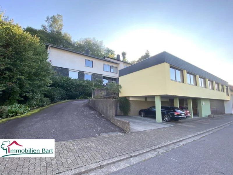 Straßenansicht - Haus kaufen in Merzig - 2 HÄUSER / 518 M² WFL. / RUHIGE LAGE IN MERZIG